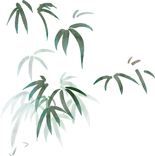 广西胸科医院中药煎煮员岗位工作人员招聘公告