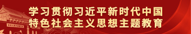 学习贯彻习近平新时代中国特色社会主义思想主题教育