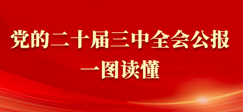  党的二十届三中全会公报一图读懂